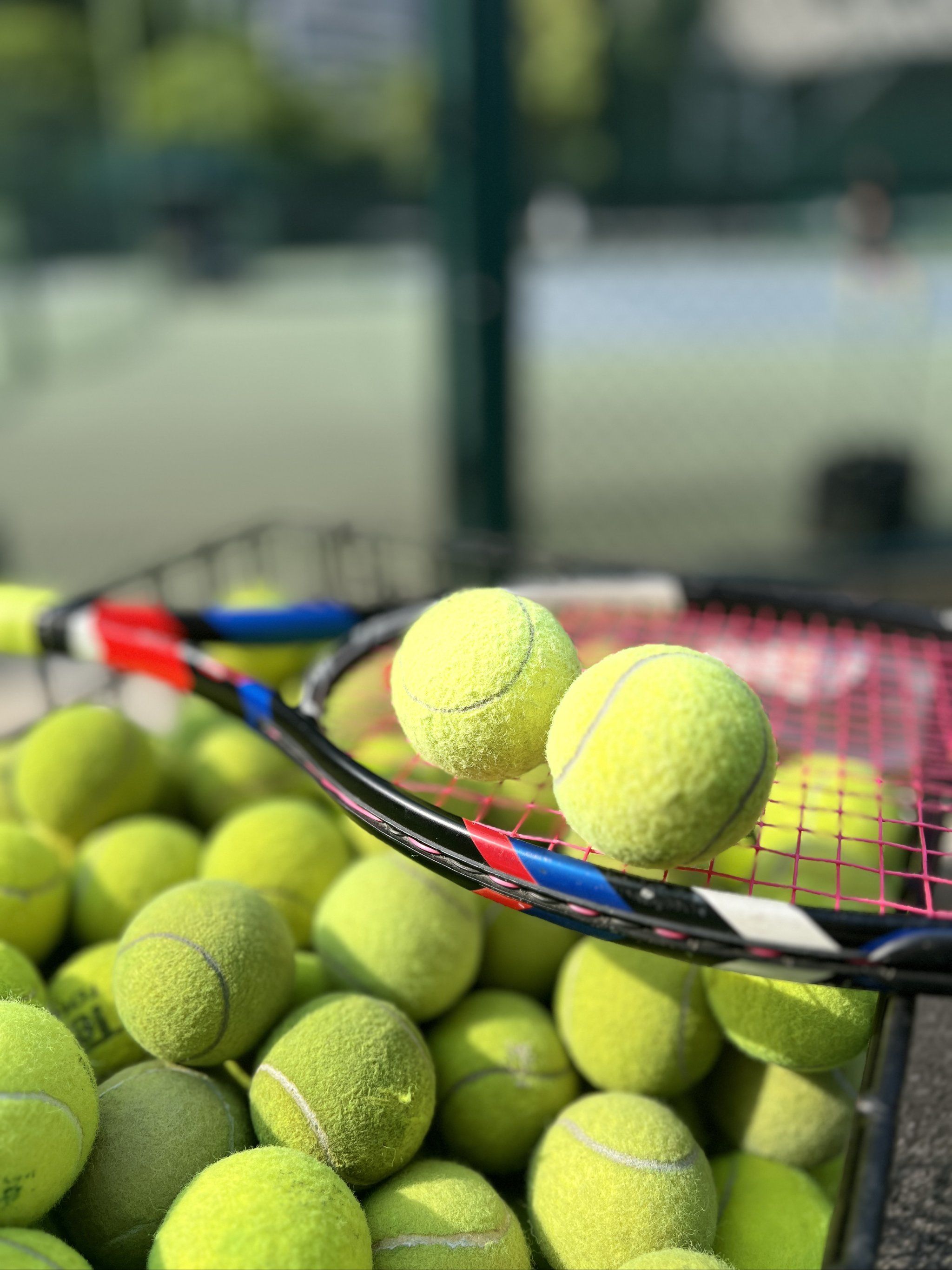 断和坚定的 断和坚定的