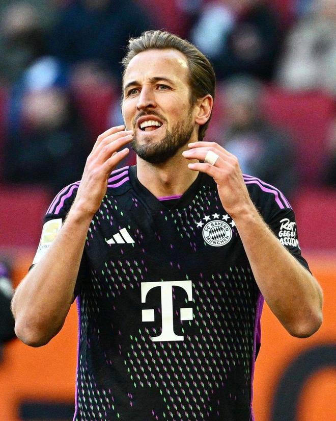 的情感纽带 的情感纽带